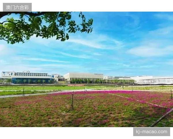 为何赛事组委会坚决叫停传统单一机位制作而转向分布式多点采集系统？